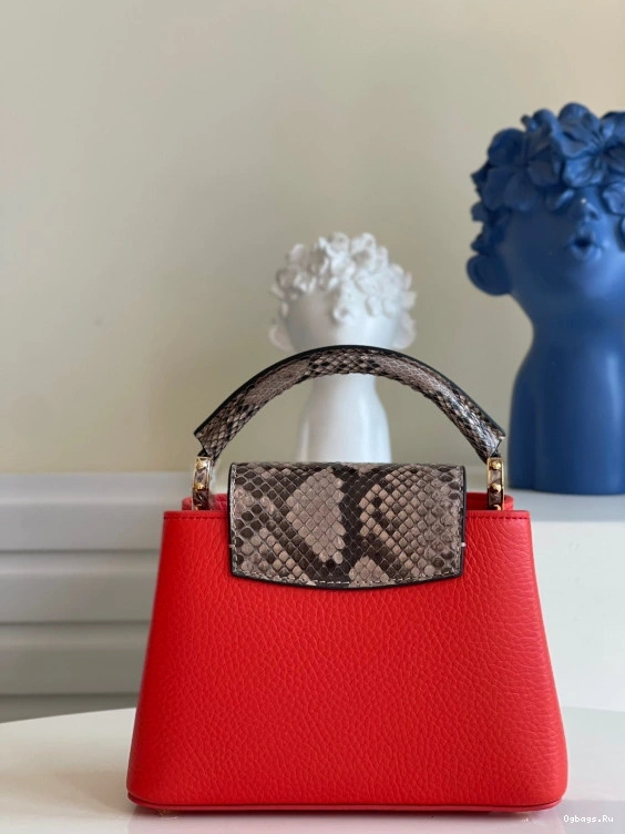 LOUIS VUITTON CAPUCINES MINI 0117